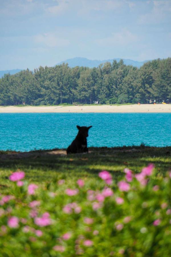 Ideo Phuket Hotel - SHA Plus Nai Yang Beach Eksteriør bilde